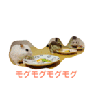 はむちゃんずと仲間たち（個別スタンプ：2）
