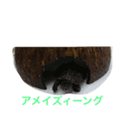 はむちゃんずと仲間たち（個別スタンプ：3）