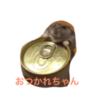 はむちゃんずと仲間たち（個別スタンプ：6）