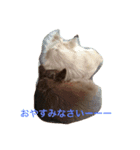はむちゃんずと仲間たち（個別スタンプ：8）