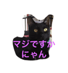 黒猫のくろまめちゃん（個別スタンプ：7）