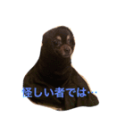 ろくちゃんの気持ち（個別スタンプ：1）