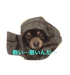 ろくちゃんの気持ち（個別スタンプ：2）