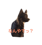 ろくちゃんの気持ち（個別スタンプ：5）