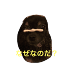 ろくちゃんの気持ち（個別スタンプ：7）