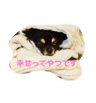 ろくちゃんの気持ち（個別スタンプ：8）