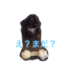 ろくちゃんの気持ち（個別スタンプ：10）