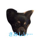 ろくちゃんの気持ち（個別スタンプ：13）