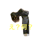 ろくちゃんの気持ち（個別スタンプ：15）