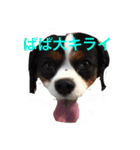 おはなたべます（個別スタンプ：2）