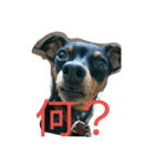 神、降臨(笑)（個別スタンプ：1）