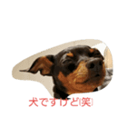 神、降臨(笑)（個別スタンプ：6）