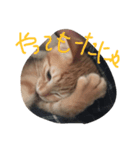 ネネの部屋（個別スタンプ：8）