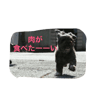 のあてぃん（個別スタンプ：8）