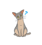あびしにあん♀マロン（個別スタンプ：4）