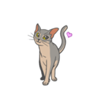 あびしにあん♀マロン（個別スタンプ：5）