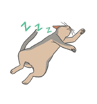 あびしにあん♀マロン（個別スタンプ：6）