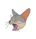 あびしにあん♀マロン（個別スタンプ：11）
