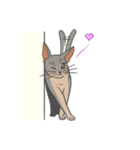 あびしにあん♀マロン（個別スタンプ：15）