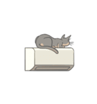 あびしにあん♀マロン（個別スタンプ：18）