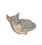 あびしにあん♀マロン（個別スタンプ：33）