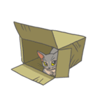 あびしにあん♀マロン（個別スタンプ：39）