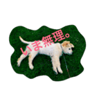 むぎちゃんと一緒（個別スタンプ：1）