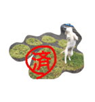 むぎちゃんと一緒（個別スタンプ：5）