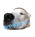 むぎちゃんと一緒（個別スタンプ：8）
