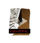 ダックスフンドKEN（個別スタンプ：6）