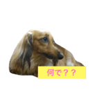 ペコさんスタンプ（個別スタンプ：1）