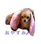 ワチチ（個別スタンプ：8）