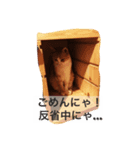 ぼくチャーちゃん（個別スタンプ：3）