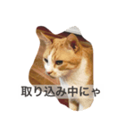 ぼくチャーちゃん（個別スタンプ：4）