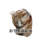 ぼくチャーちゃん（個別スタンプ：6）