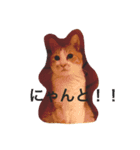 ぼくチャーちゃん（個別スタンプ：8）