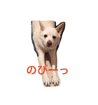 カレンの愉快な一日（個別スタンプ：8）