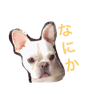 ももちゃんのスタンプ（個別スタンプ：6）