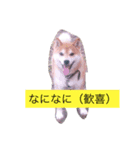相打ちする犬（個別スタンプ：5）