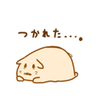 ゆるにゃんこの日々（個別スタンプ：9）