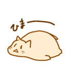 ゆるにゃんこの日々（個別スタンプ：25）