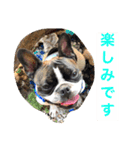 フレブルパイド、オチョの日常Vo.1（個別スタンプ：1）
