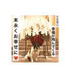 フレブルパイド、オチョの日常Vo.1（個別スタンプ：2）