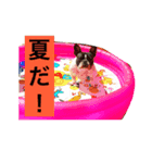 フレブルパイド、オチョの日常Vo.1（個別スタンプ：3）