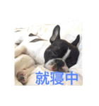 フレブルパイド、オチョの日常Vo.1（個別スタンプ：7）
