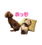 我が家のハッピーちゃん♡（個別スタンプ：6）