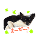 ごえモンスター（個別スタンプ：1）