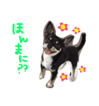 ごえモンスター（個別スタンプ：5）