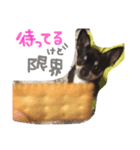 ごえモンスター（個別スタンプ：8）
