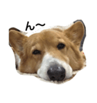 RICKY1（個別スタンプ：7）